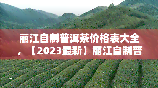 丽江自制普洱茶价格表大全，【2023最新】丽江自制普洱茶价格表大全，一网打尽！