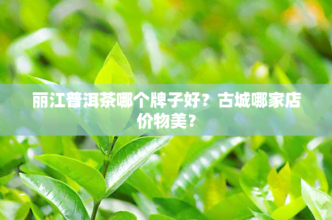 丽江普洱茶哪个牌子好？古城哪家店价物美？