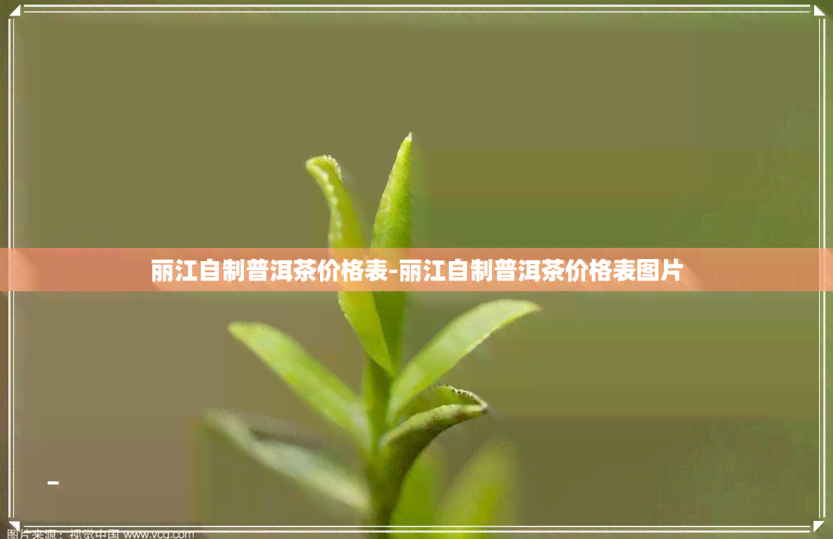 丽江自制普洱茶价格表-丽江自制普洱茶价格表图片