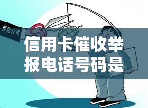 信用卡举报电话号码是多少？如何有效应对逾期电话？了解各银行及021地区电话，避免欠款风险。