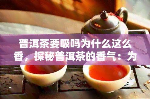 普洱茶要吸吗为什么这么香，探秘普洱茶的香气：为何需要吸？