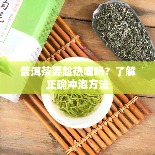 普洱茶要趁热喝吗？了解正确冲泡方法