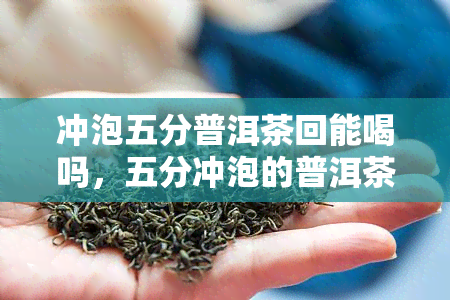 冲泡五分普洱茶回能喝吗，五分冲泡的普洱茶有回，可以放心饮用吗？