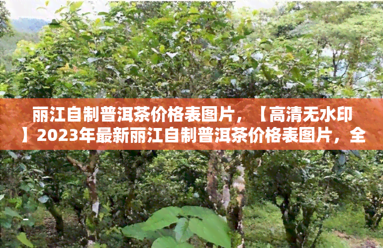 丽江自制普洱茶价格表图片，【高清无水印】2023年最新丽江自制普洱茶价格表图片，全网首发！