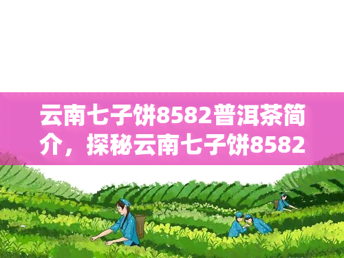 云南七子饼8582普洱茶简介，探秘云南七子饼8582普洱茶：一款口感丰富的传统茗品