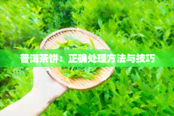 普洱茶饼：正确处理方法与技巧