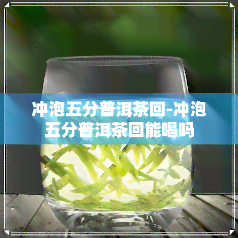 冲泡五分普洱茶回-冲泡五分普洱茶回能喝吗