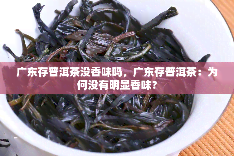 广东存普洱茶没香味吗，广东存普洱茶：为何没有明显香味？