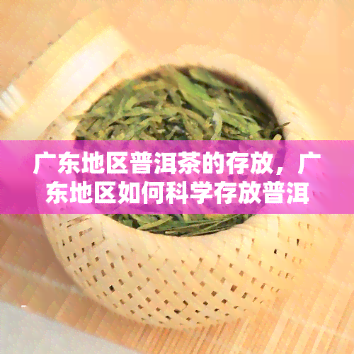 广东地区普洱茶的存放，广东地区如何科学存放普洱茶？