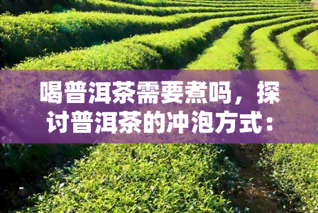 喝普洱茶需要煮吗，探讨普洱茶的冲泡方式：是否需要煮？