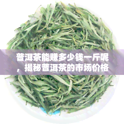 普洱茶能赚多少钱一斤呢，揭秘普洱茶的市场价格：一斤能赚多少钱？