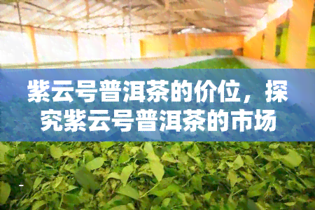 紫云号普洱茶的价位，探究紫云号普洱茶的市场价值：价格分析与评价