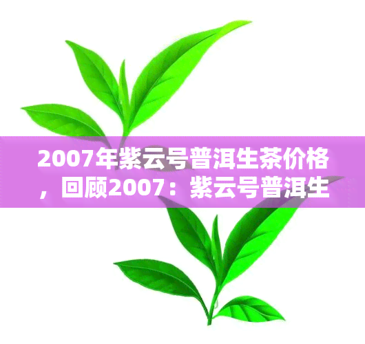 2007年紫云号普洱生茶价格，回顾2007：紫云号普洱生茶市场价格走势分析