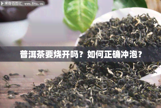 普洱茶要烧开吗？如何正确冲泡？