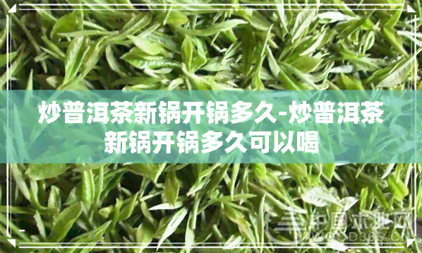 炒普洱茶新锅开锅多久-炒普洱茶新锅开锅多久可以喝