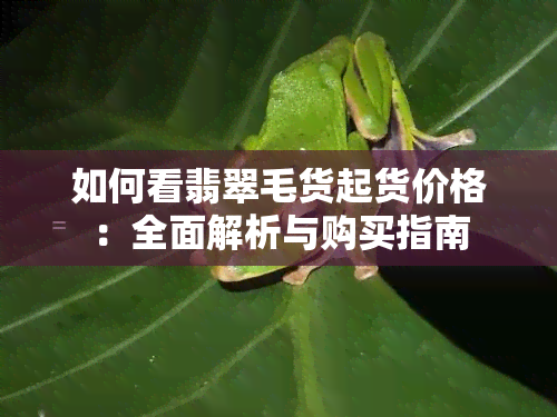 如何看翡翠毛货起货价格：全面解析与购买指南