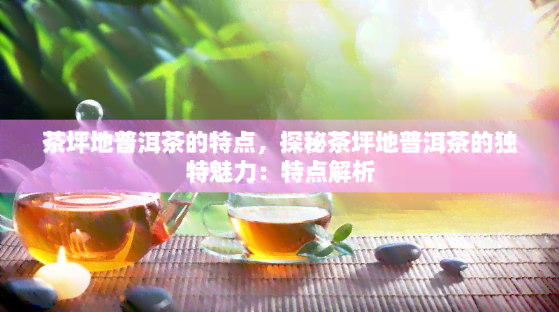 茶坪地普洱茶的特点，探秘茶坪地普洱茶的独特魅力：特点解析