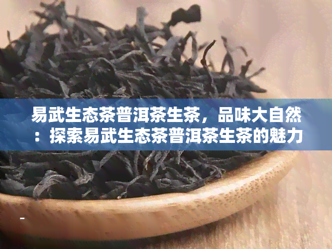 易武生态茶普洱茶生茶，品味大自然：探索易武生态茶普洱茶生茶的魅力