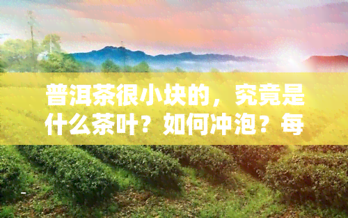 普洱茶很小块的，究竟是什么茶叶？如何冲泡？每一颗都很特别