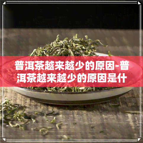 普洱茶越来越少的原因-普洱茶越来越少的原因是什么