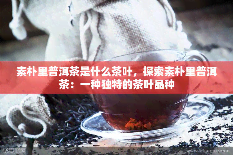 素朴里普洱茶是什么茶叶，探索素朴里普洱茶：一种独特的茶叶品种