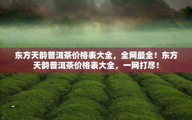 东方天韵普洱茶价格表大全，全网最全！东方天韵普洱茶价格表大全，一网打尽！