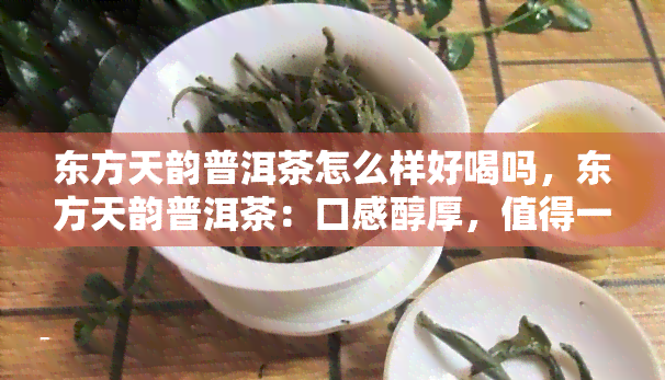 东方天韵普洱茶怎么样好喝吗，东方天韵普洱茶：口感醇厚，值得一试！