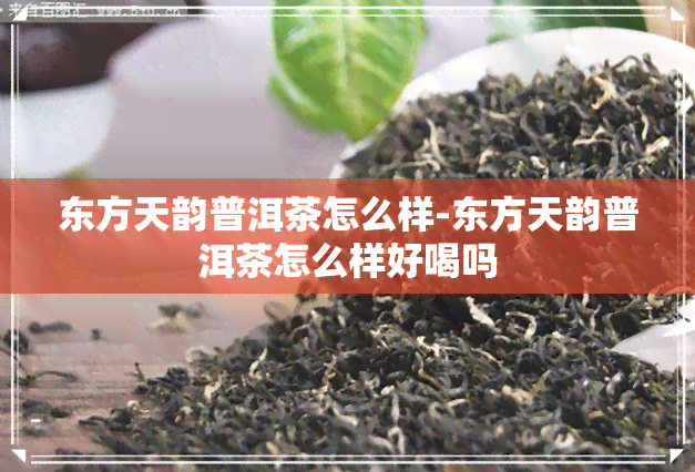 东方天韵普洱茶怎么样-东方天韵普洱茶怎么样好喝吗