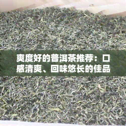 爽度好的普洱茶推荐：口感清爽、回味悠长的佳品