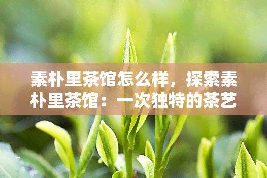 素朴里茶馆怎么样，探索素朴里茶馆：一次独特的茶艺体验