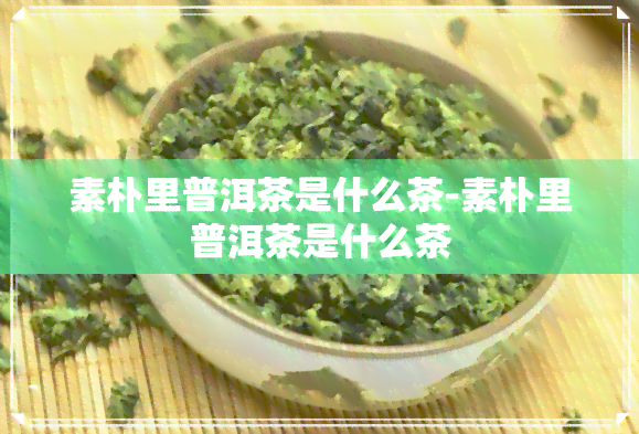 素朴里普洱茶是什么茶-素朴里普洱茶是什么茶