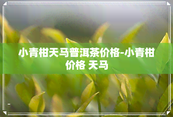 小青柑天马普洱茶价格-小青柑价格 天马