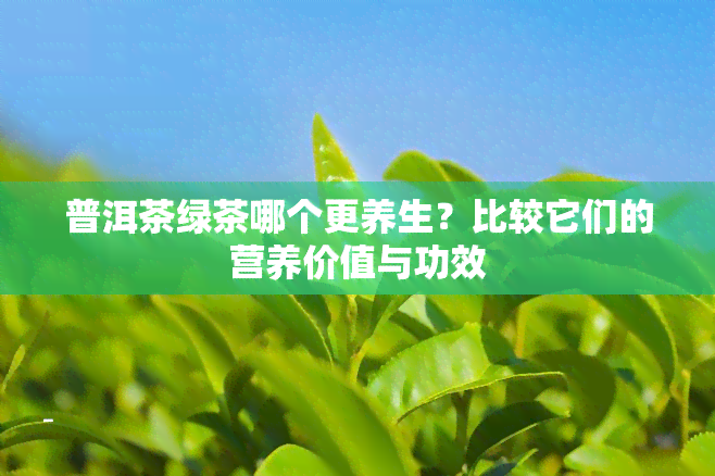 普洱茶绿茶哪个更养生？比较它们的营养价值与功效