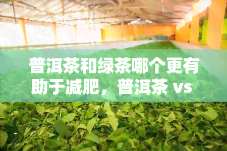 普洱茶和绿茶哪个更有助于减肥，普洱茶 vs 绿茶：哪个更有利于减肥？