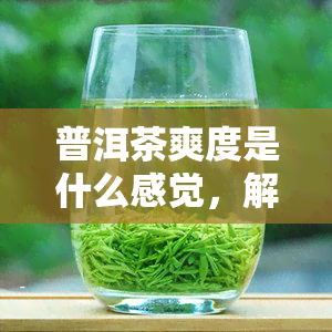 普洱茶爽度是什么感觉，解密普洱茶爽度：探索其独特的口感体验