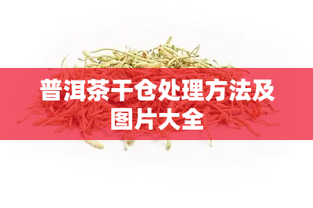 普洱茶干仓处理方法及图片大全