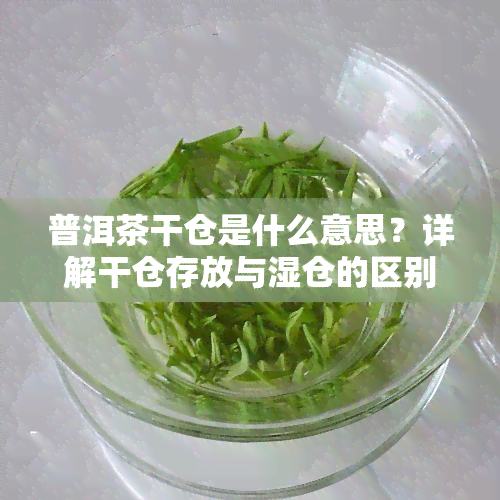 普洱茶干仓是什么意思？详解干仓存放与湿仓的区别及重要性