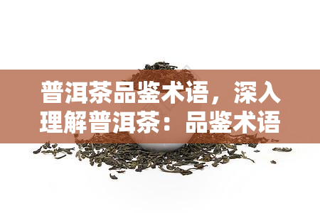 普洱茶品鉴术语，深入理解普洱茶：品鉴术语解析与应用