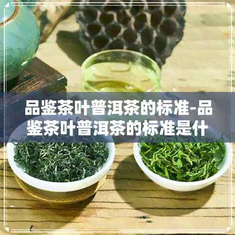 品鉴茶叶普洱茶的标准-品鉴茶叶普洱茶的标准是什么