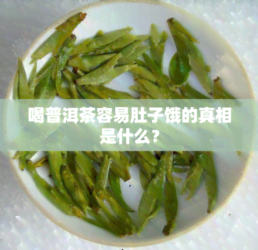 喝普洱茶容易肚子饿的真相是什么？