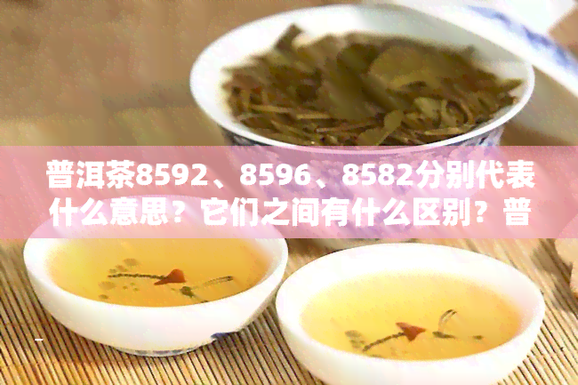 普洱茶8592、8596、8582分别代表什么意思？它们之间有什么区别？普洱茶8592品质如何？全面解析！