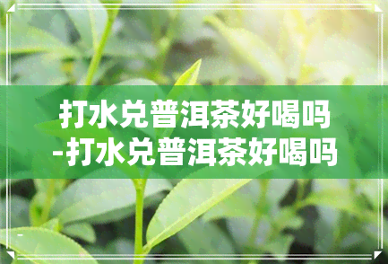 打水兑普洱茶好喝吗-打水兑普洱茶好喝吗知乎