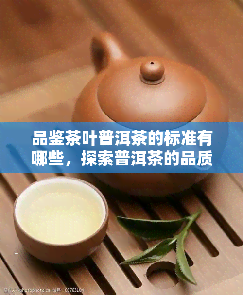 品鉴茶叶普洱茶的标准有哪些，探索普洱茶的品质之道：品鉴茶叶的必备标准