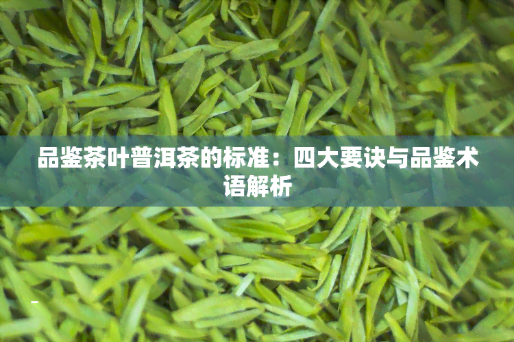 品鉴茶叶普洱茶的标准：四大要诀与品鉴术语解析