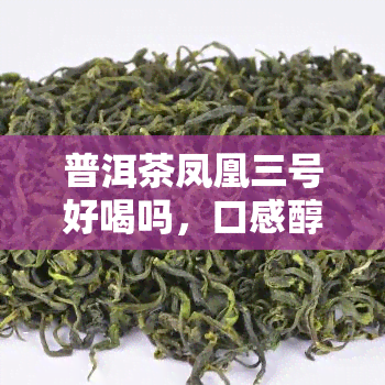 普洱茶凤凰三号好喝吗，口感醇厚，香气扑鼻——普洱茶凤凰三号，值得一试！