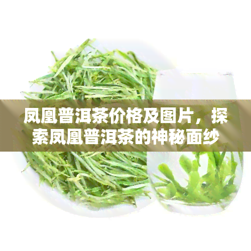 凤凰普洱茶价格及图片，探索凤凰普洱茶的神秘面纱：价格与图片全解析！