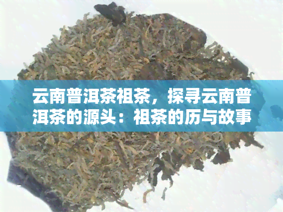 云南普洱茶祖茶，探寻云南普洱茶的源头：祖茶的历与故事