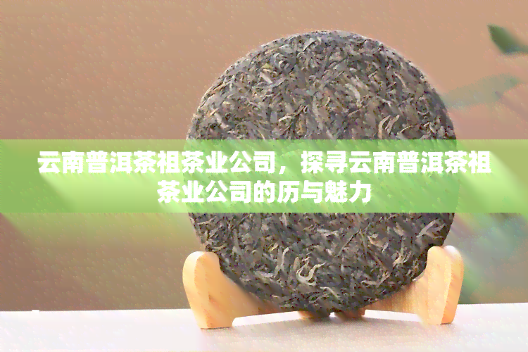 云南普洱茶祖茶业公司，探寻云南普洱茶祖茶业公司的历与魅力