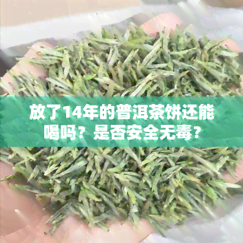 放了14年的普洱茶饼还能喝吗？是否安全无？