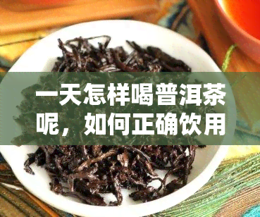 一天怎样喝普洱茶呢，如何正确饮用普洱茶：一日饮茶指南